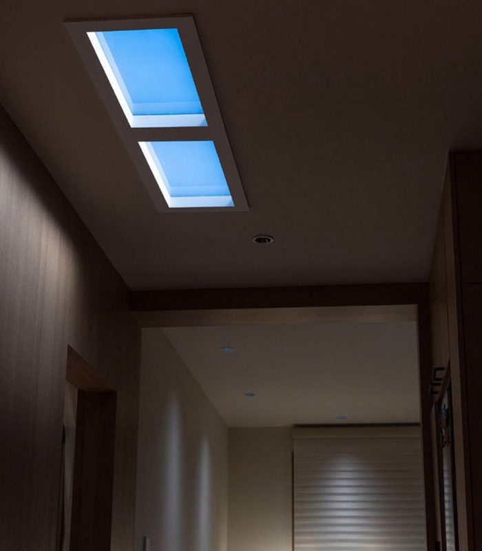 Skylight Series Lepulighting